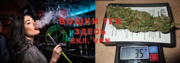 прущие грибы Киреевск