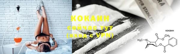 прущие грибы Киреевск