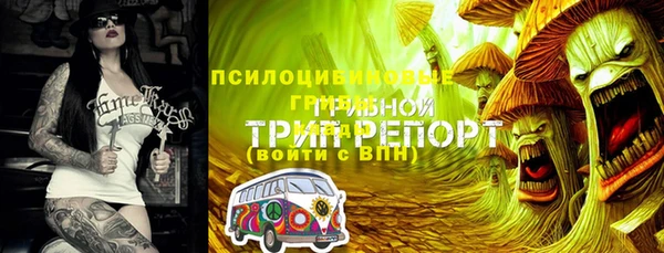 прущие грибы Киреевск
