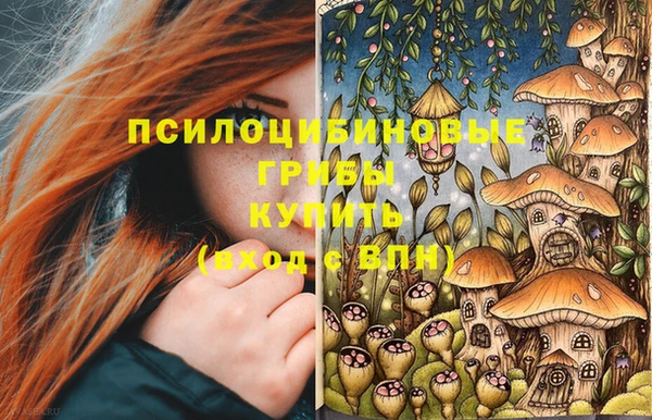 эйфоретик Кинешма