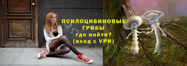 прущие грибы Киреевск