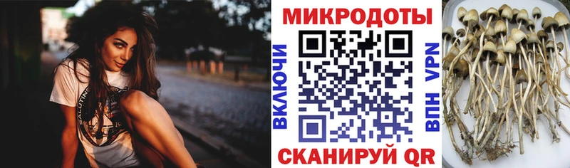 Галлюциногенные грибы ЛСД  Купить где  Лукоянов 